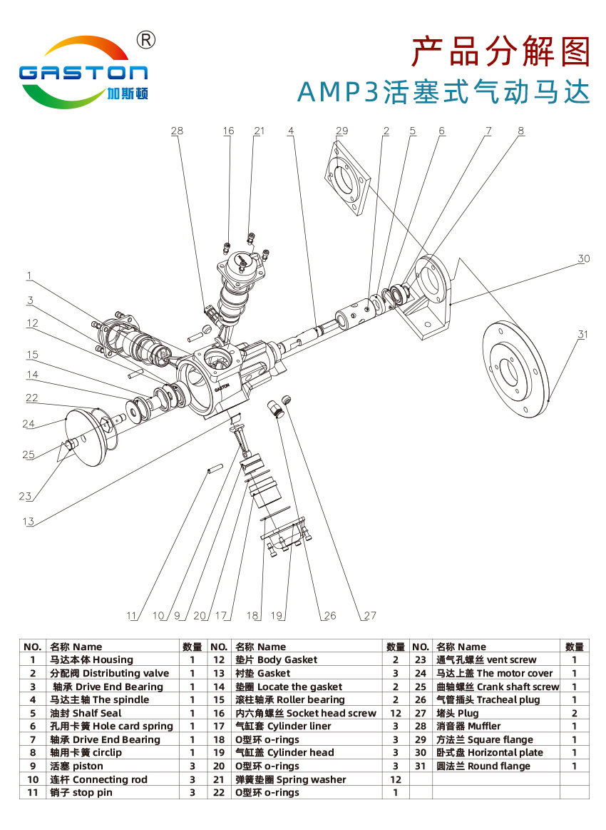 AMP3-T_13.jpg