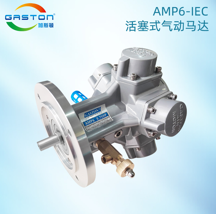 AMP6-IEC_02.jpg